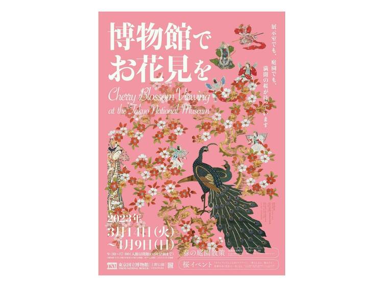 Cherry Blossom Viewing at the Tokyo National Museum
