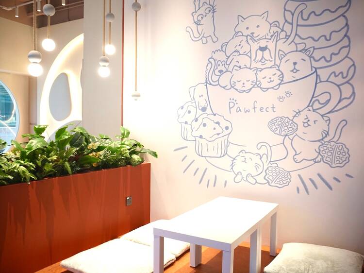 Best new cafes and coffee shops to visit in Hong Kong