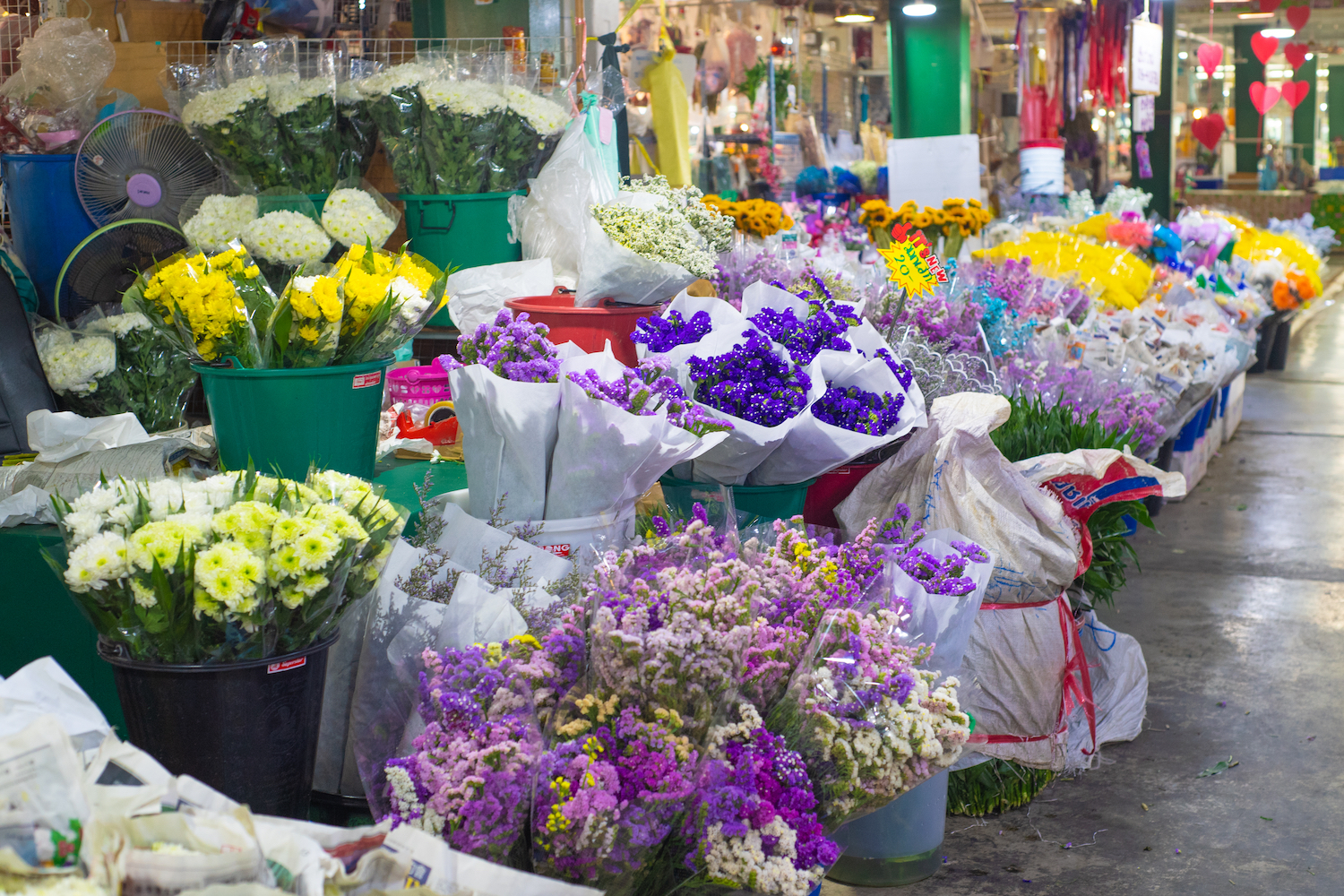The Best Flower Markets And Flower Shops In Singapore