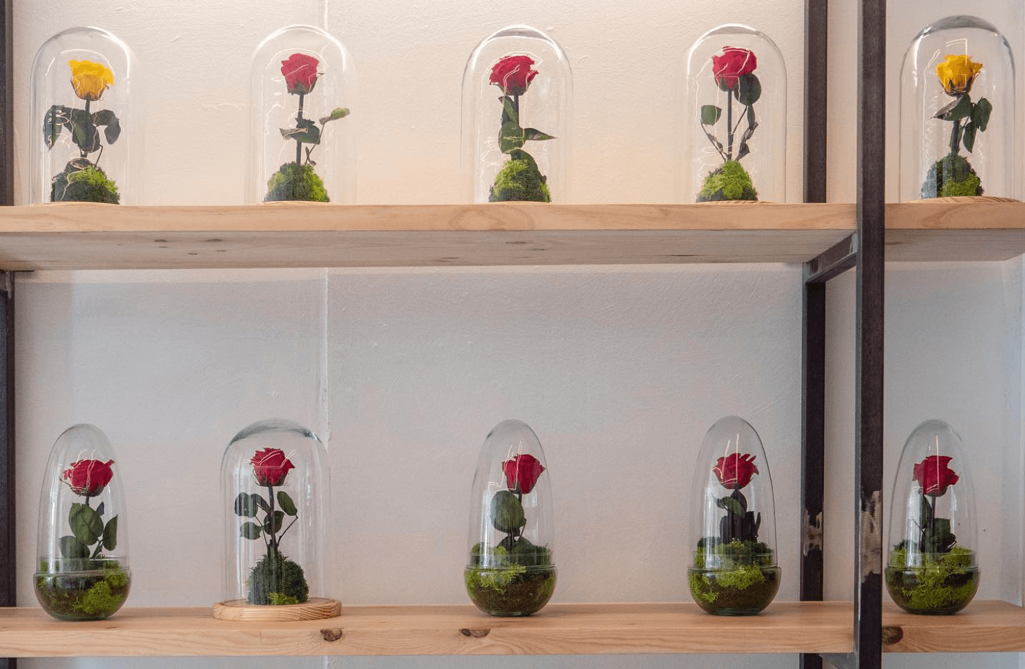 Qué es una rosa eterna?   – Omotesandō Plants