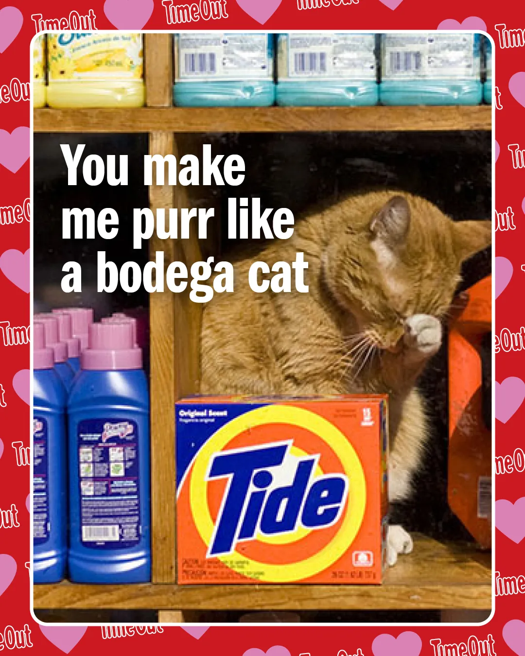 An NYC Valentine card with a cat reading "You make me purr like a bodega cat."