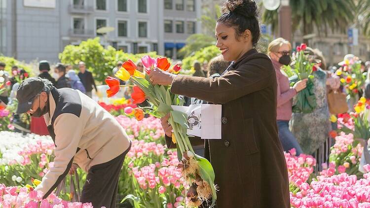 A woman looks delightedly at her red tulips while in the background others are bent over to pick theirs, and the commercial buildings and a palm tree are visible.