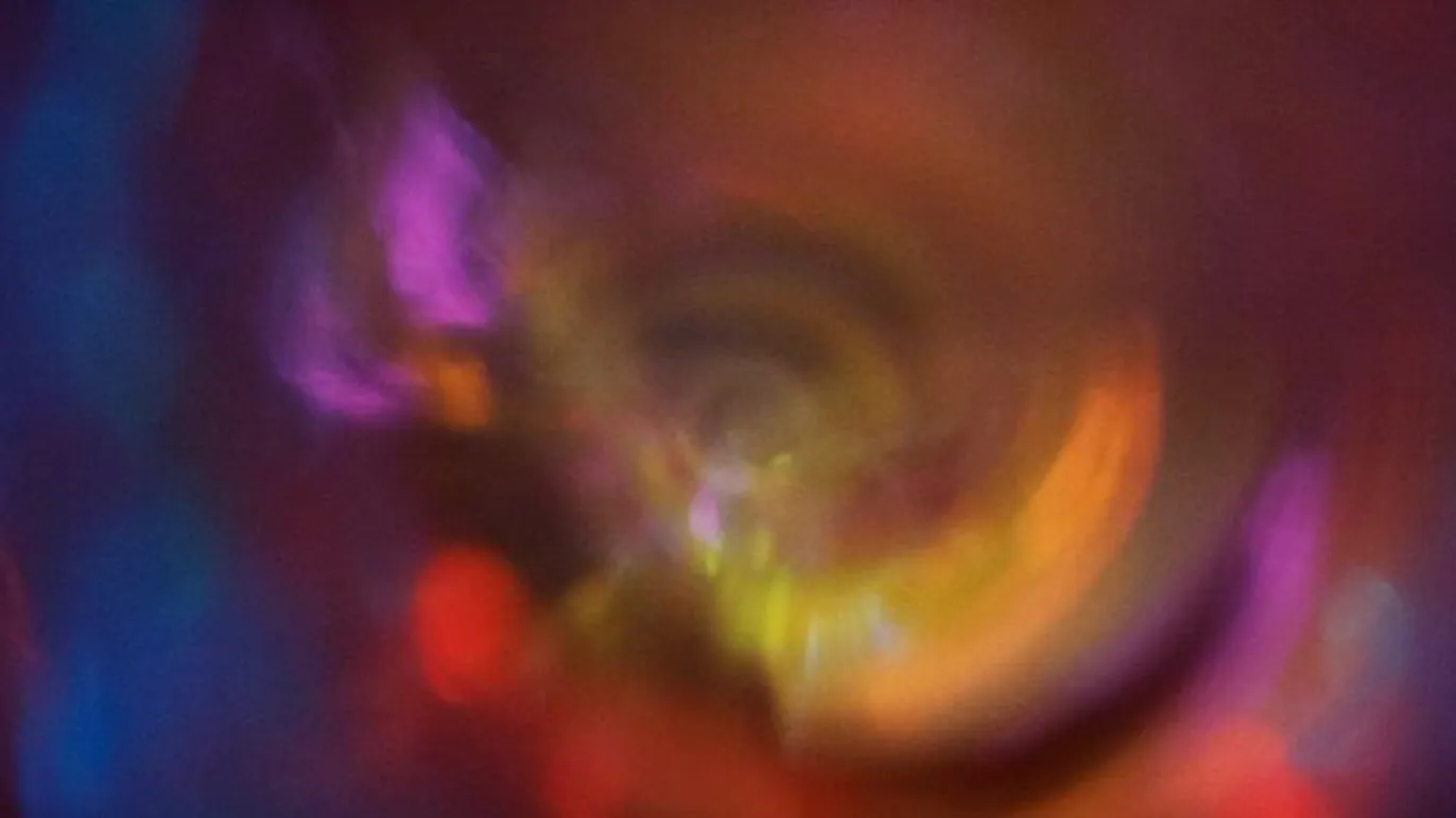 Tacita Dean, Museum of Contemporary Art Australia Images and Captions Tacita Dean, Paradise (still), 2021, © the artist