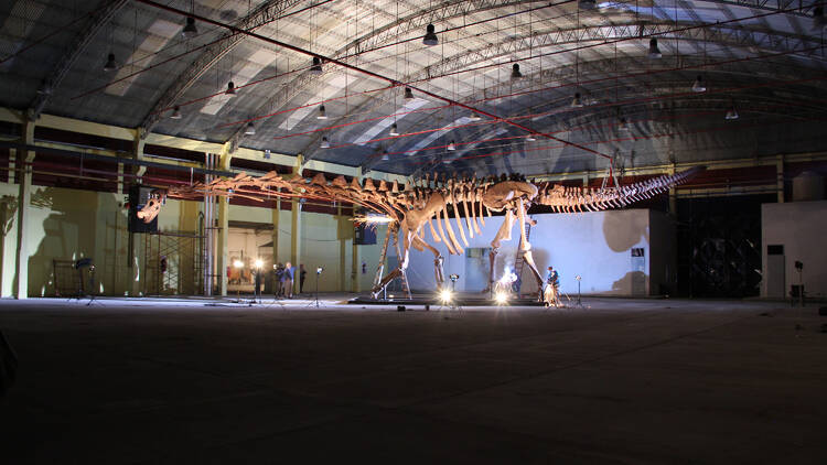 Natural History Museum Titanosaur: Life as the Biggest Dinosaur