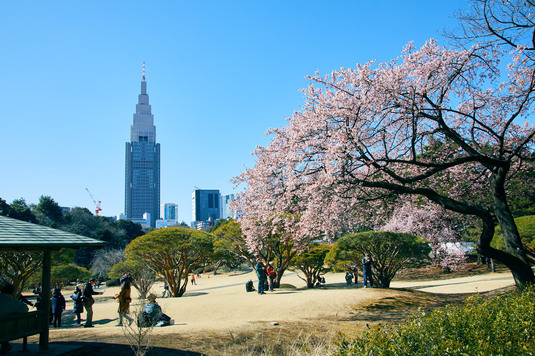 The best things to do in Tokyo this week