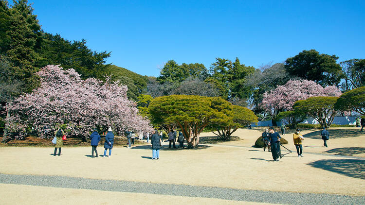 Shinjuku Gyoen National Garden