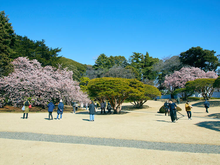 Shinjuku Gyoen National Garden