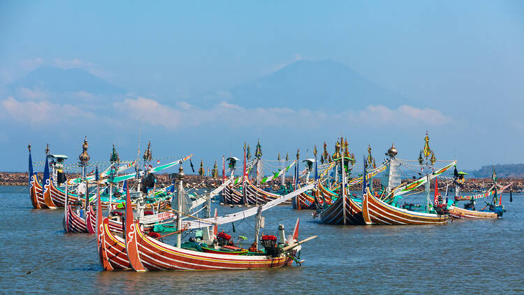 Cruise among the world’s most vibrant fishing fleet