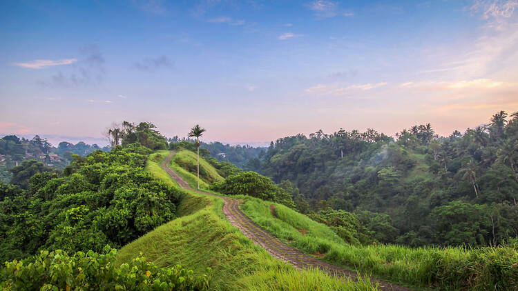 Campuhan Ridge, Bali