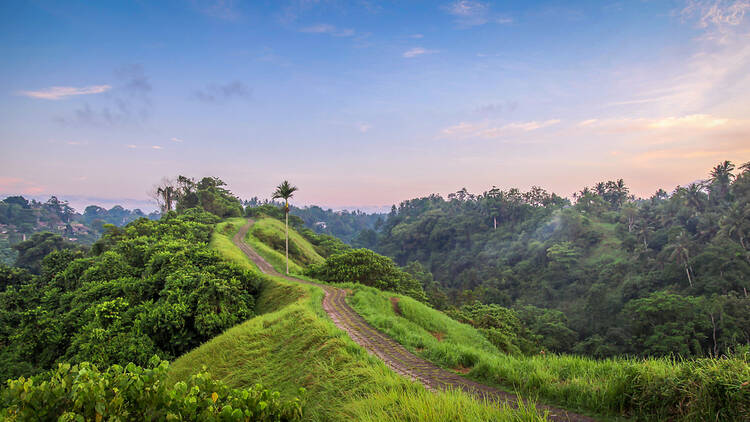 Stroll the Campuhan Ridge Walk (or an even better alternative)