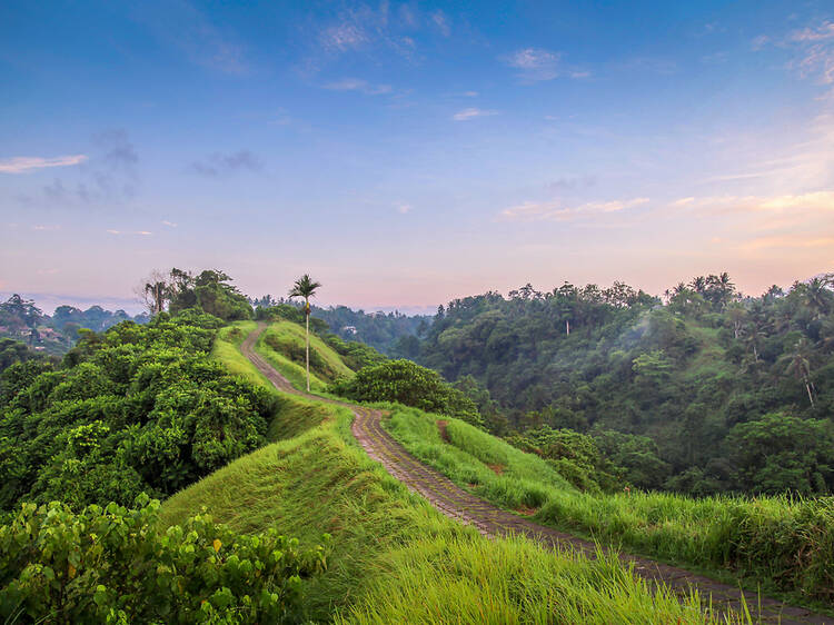 Stroll the Campuhan Ridge Walk (or an even better alternative)