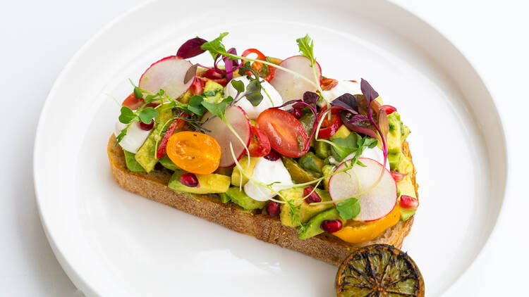 Avocado on toast with cherry tomatoes, pomegranate, radish and herbs on a white plate.