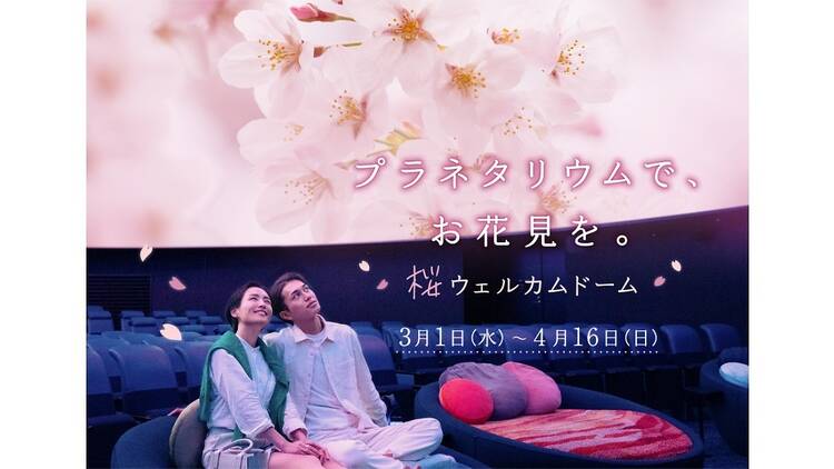 プラネタリウムでお花見気分「桜ウェルカムドーム」