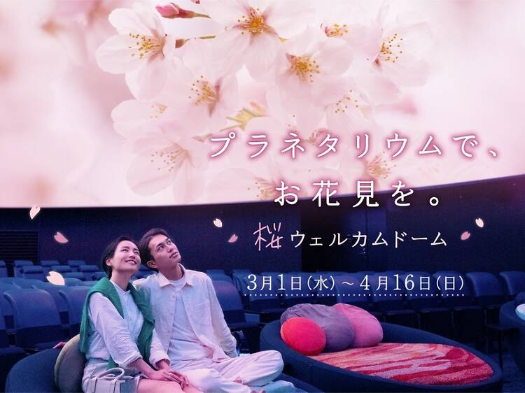 プラネタリウムでお花見気分「桜ウェルカムドーム」