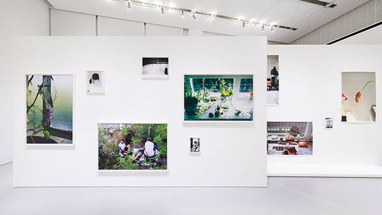 WOLFGANG TILLMANS - MOMENTS OF LIFE Exhibition view at Espace Louis Vuitton Tokyo (2023) Courtesy of Fondation Louis Vuitton ©Wolfgang Tillmans