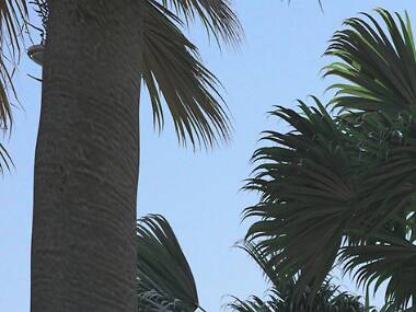 Watch the latest movies on the big (BIG) screen at IMAX Theatre Watch the latest movies on the big (BIG) screen at IMAX Theatre