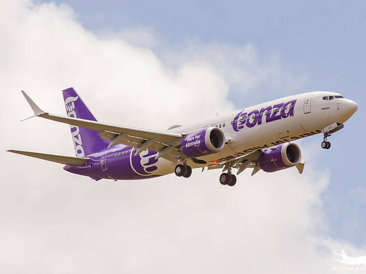 New budget airline Bonza could potentially be going bust (already!)