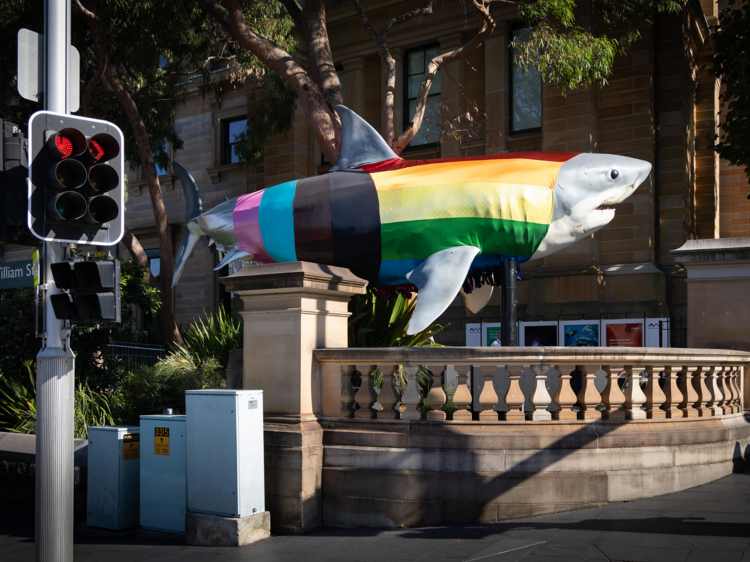 The progress shark at Australian Museum