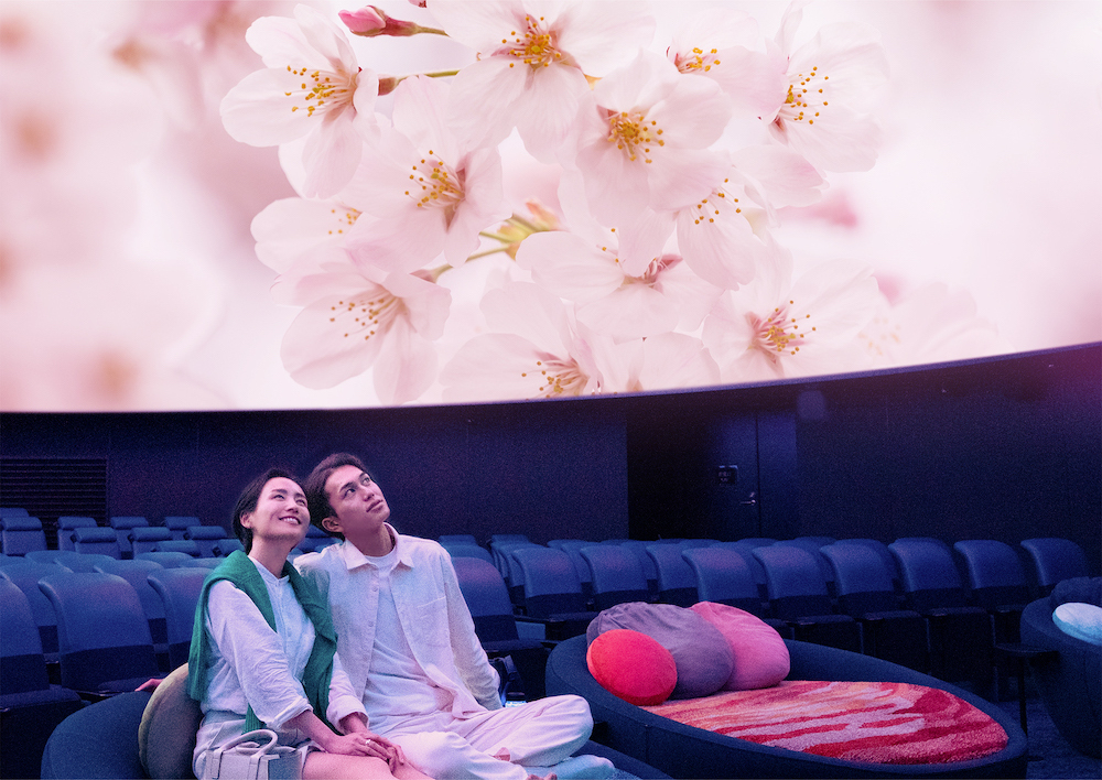 花見はプラネタリウムで快適に、「桜ウェルカムドーム」が開催