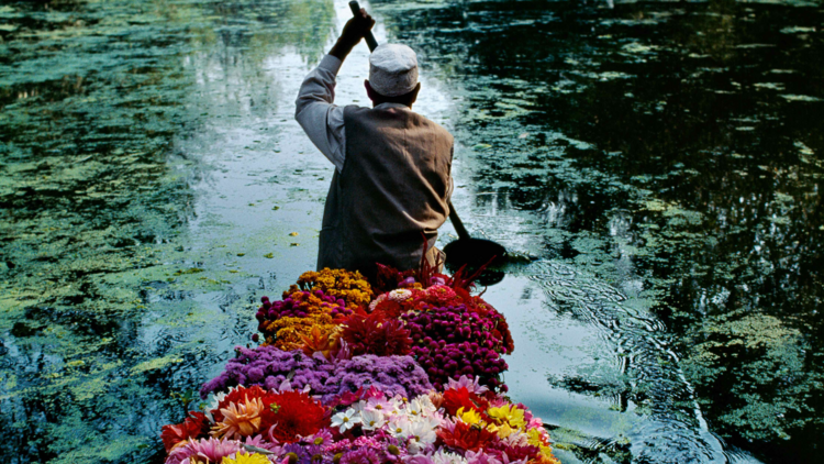 A man paddles a flower boat down a river in Kashmir