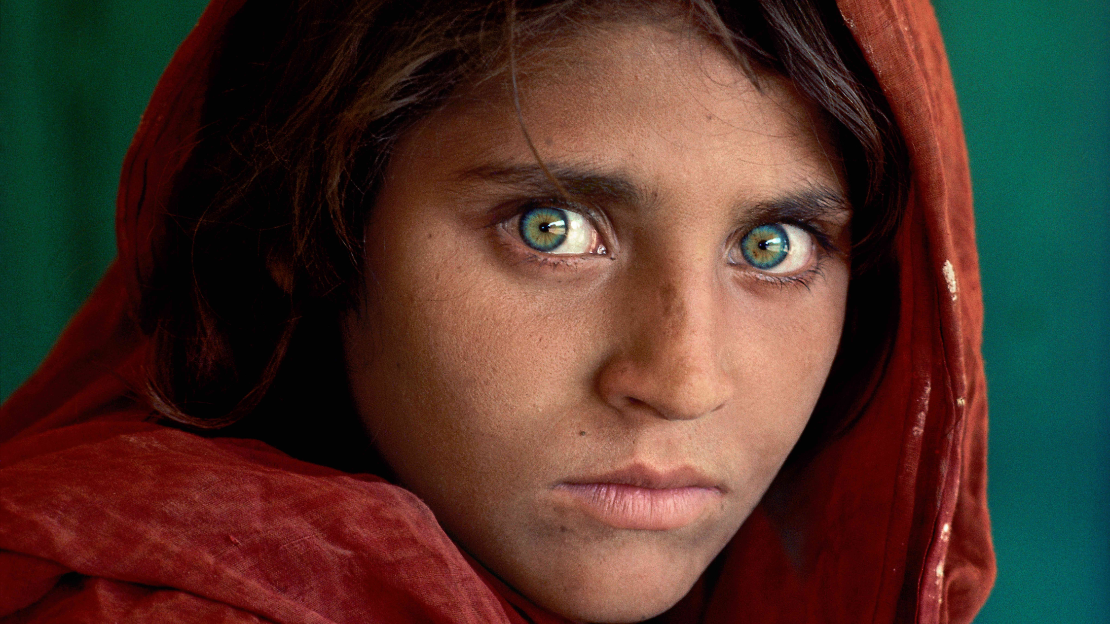 Steve McCurry beats Google's doodle, photography, Agenda