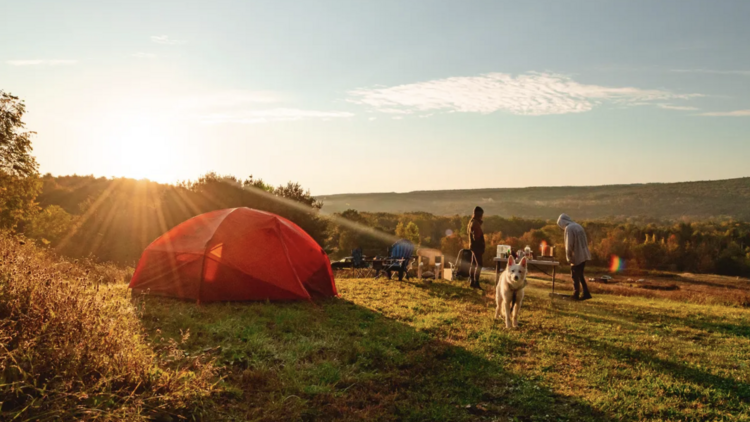 Camping on a horse farm via Hipcamp