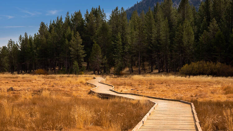 Nevada hiking