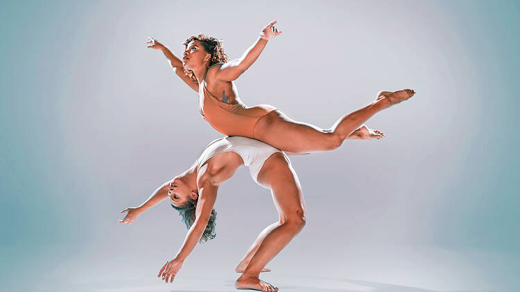 pilobolus miami pilobolus miami