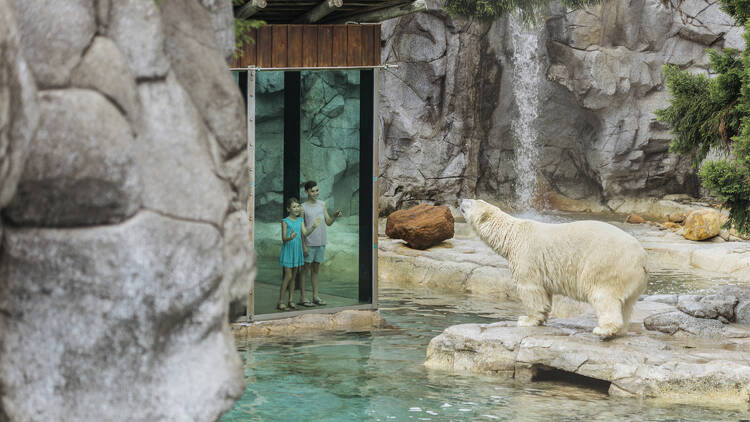 A polar bear in an enclosure looks at two happy children