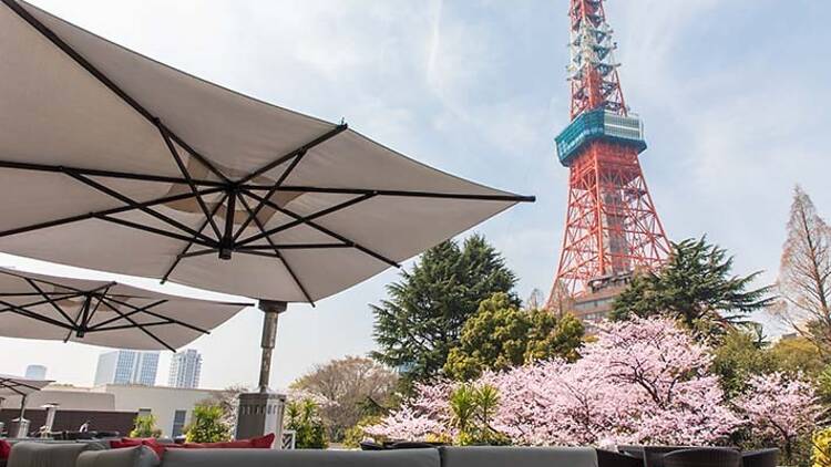 東京プリンスホテル 桜まつり