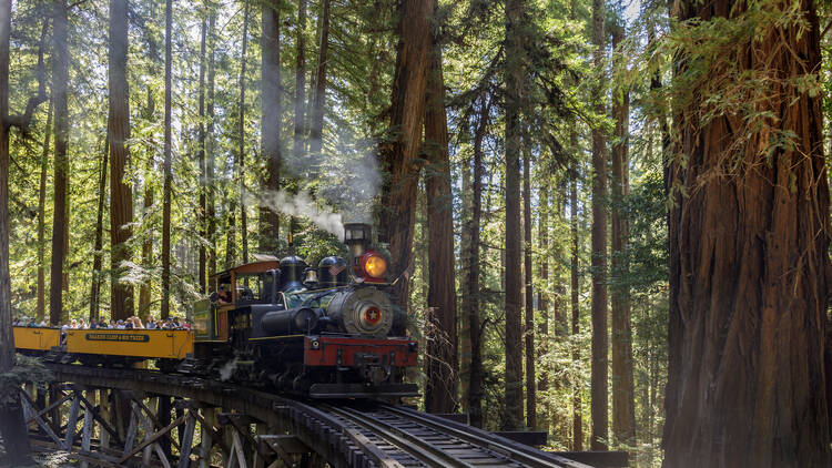 Roaring Camp train