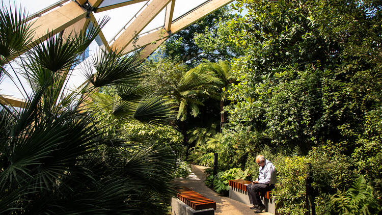 Crossrail Place Roof Garden