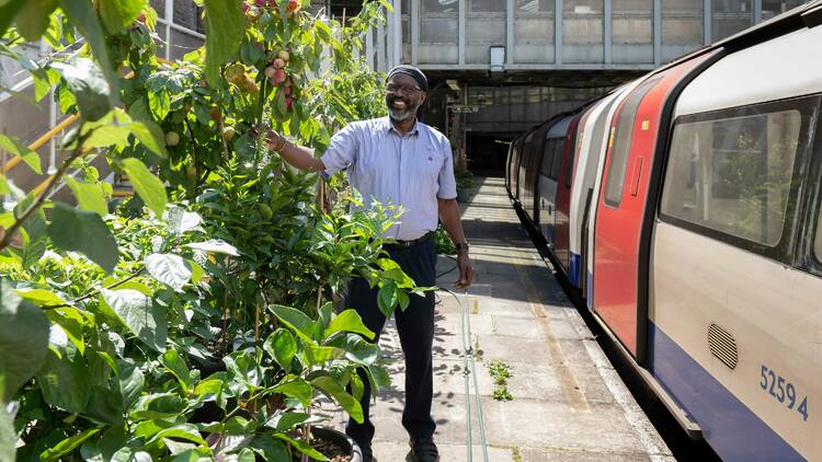 Gardens at TfL stations