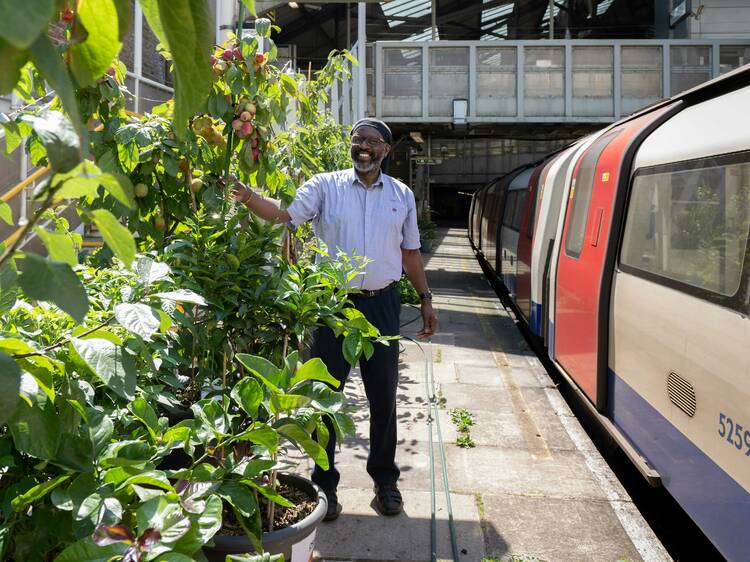 Gardens at TfL stations