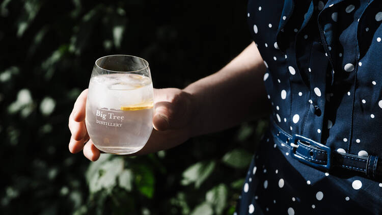 A person holding a glass of G&T by Big Tree Distillery.
