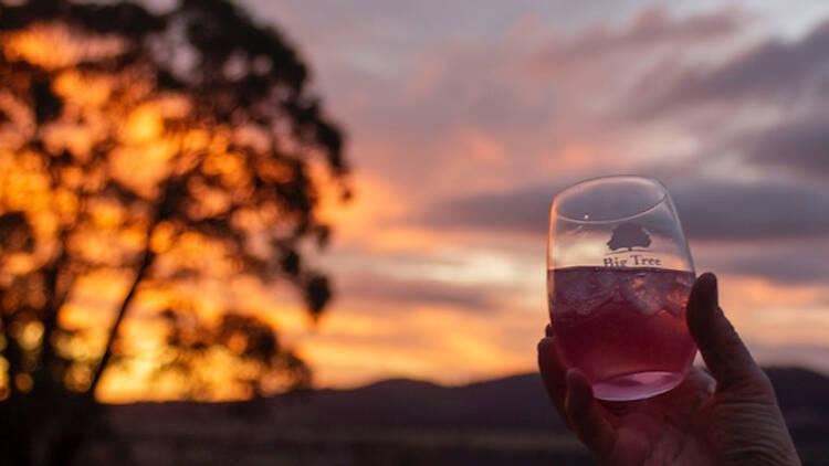 A person holding a glass of rhubarb G&T against a sunset.