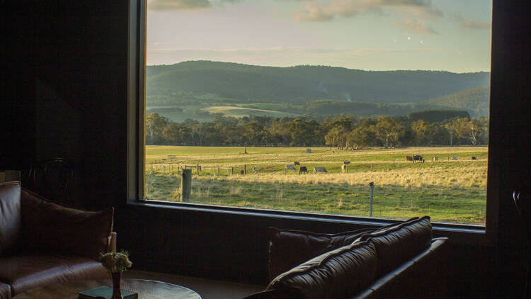 A tasting room overlooking fields with cows.