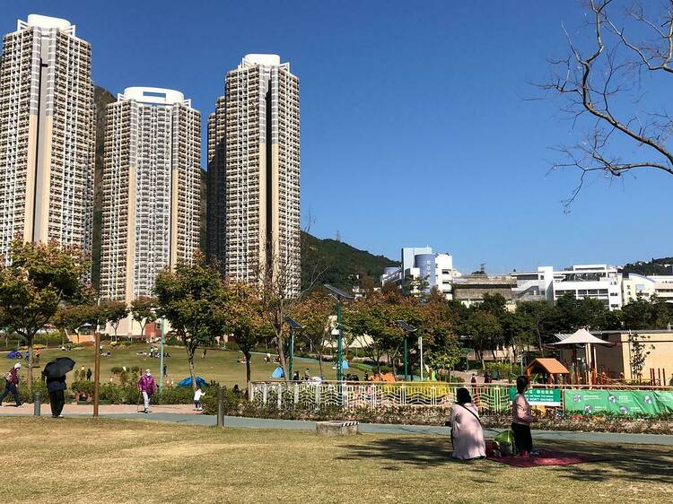 八大賞月必到草地公園