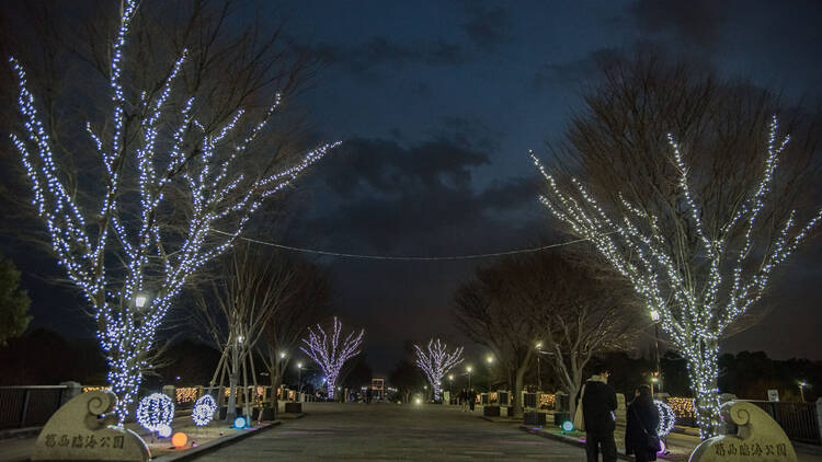 Kasai Rinkai Park Flower and Light Movement