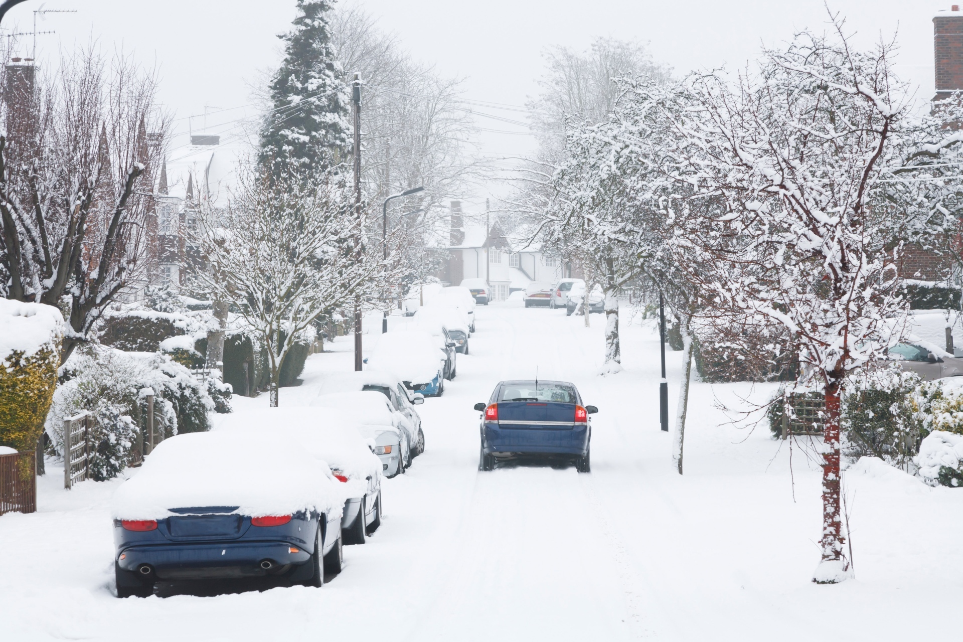 Across the snow. Across the snow