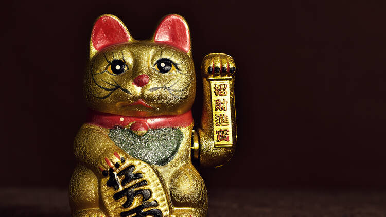 Lucky Cat Museum