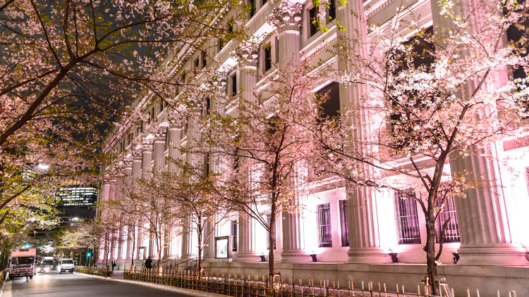 SAKURA FES NIHONBASHI