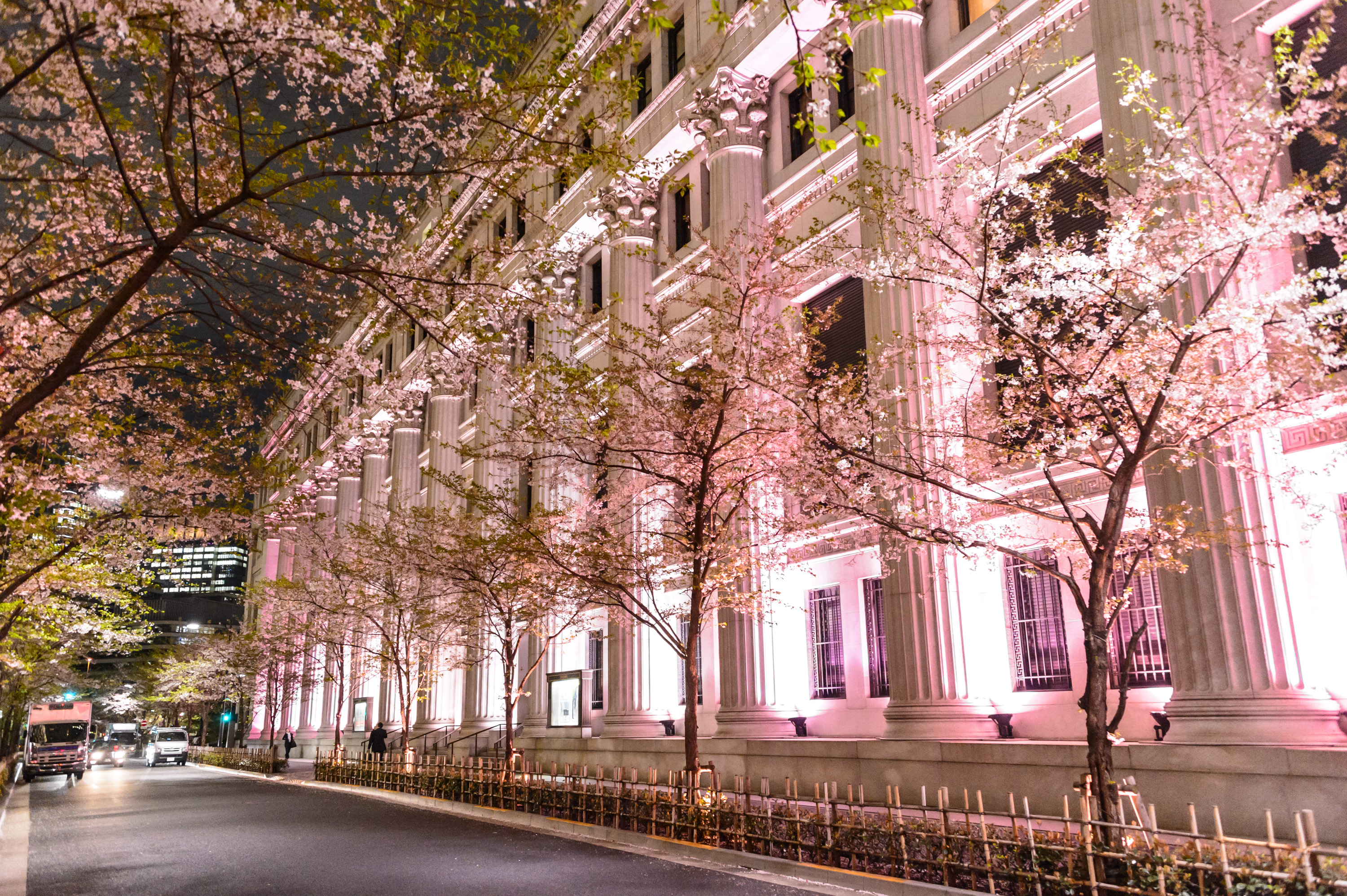 SAKURA FES NIHONBASHI