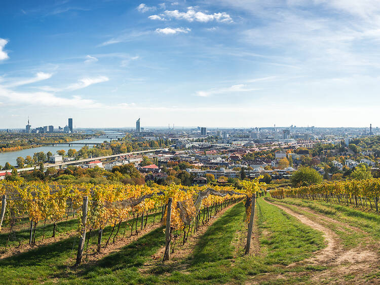 The 18 best things to do in Vienna