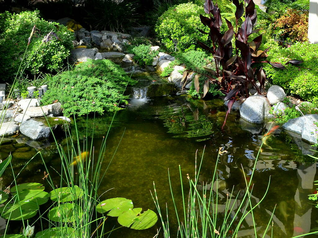 Japanese Gardens in Los Angeles and Where to Find Them