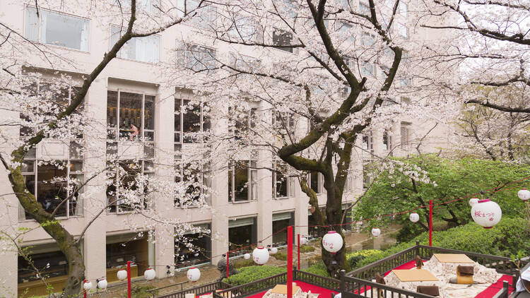 Takanawa Sakura Festival