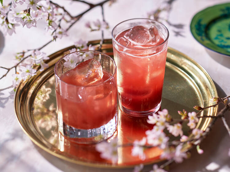 Bills cherry blossom drinks