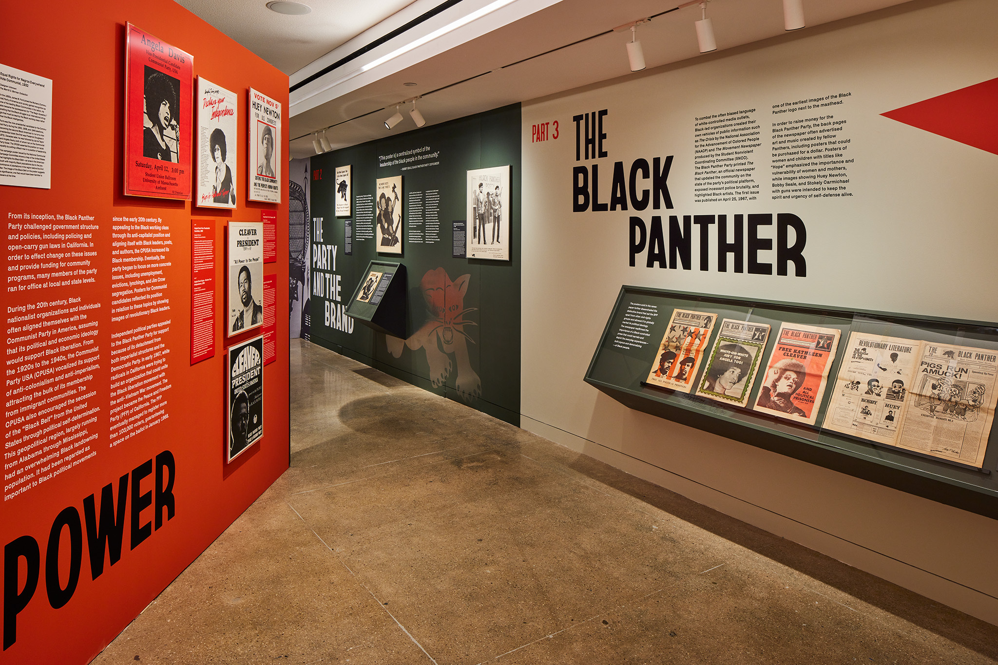A View From Within: Inside the Black Panther Party - AAIHS