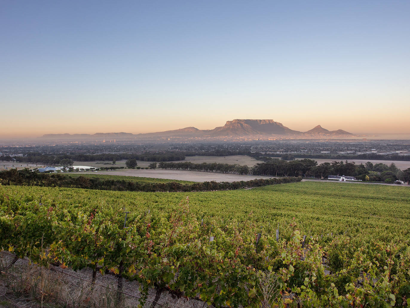 13 Best Wine Estates And Farms In And Around Cape Town In 2023
