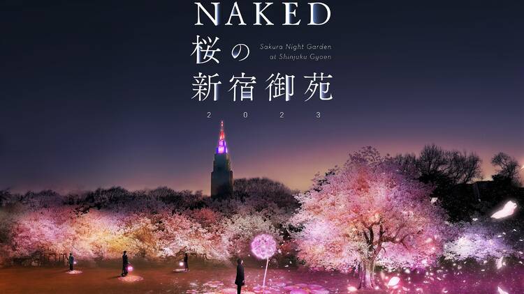 NAKED桜の新宿御苑